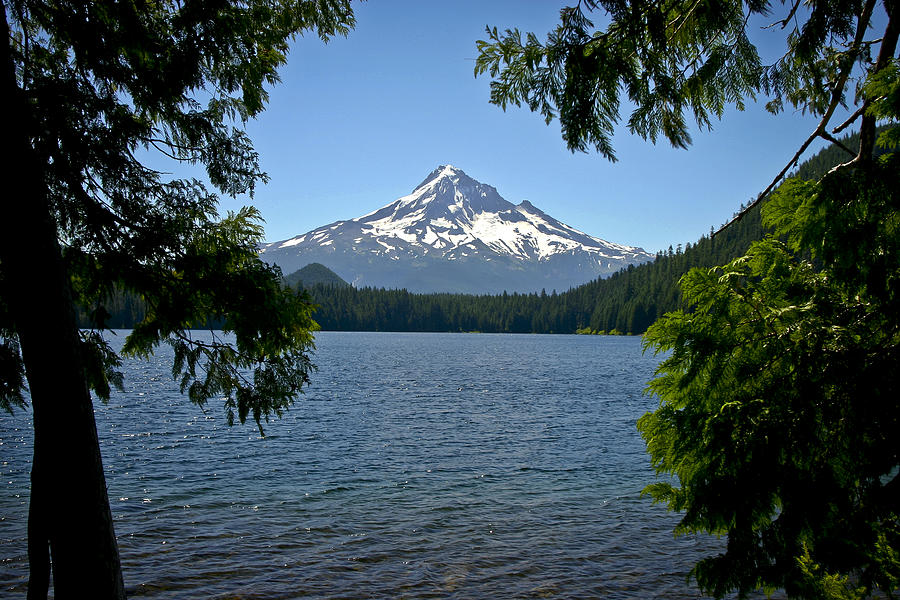 Mt Hood over Lost Lake Photograph by Albert Seger
