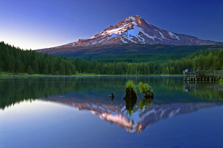 Tree Photograph - Mt. Hood reflection at sunset by William Lee