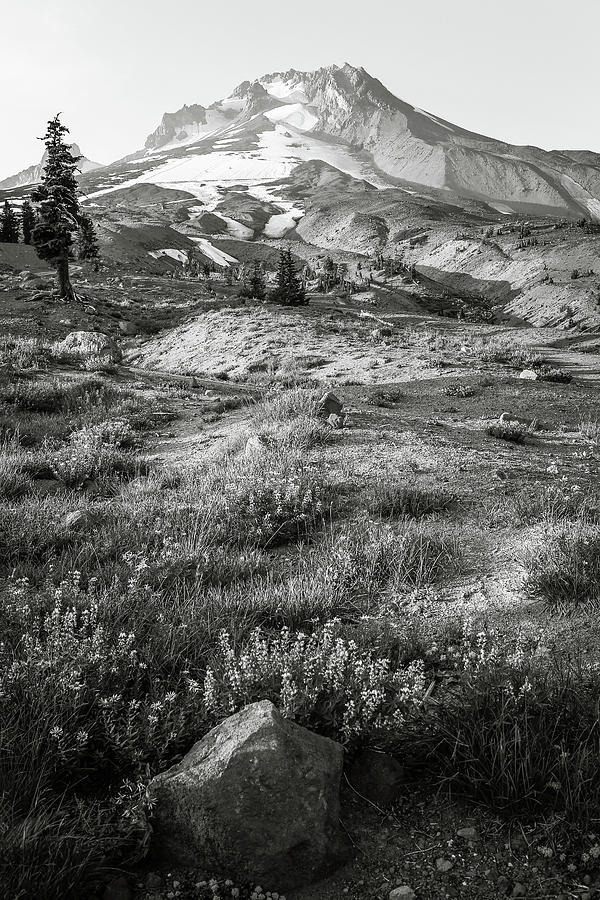 Mt. Hood Scenic  Photograph by Athena Mckinzie