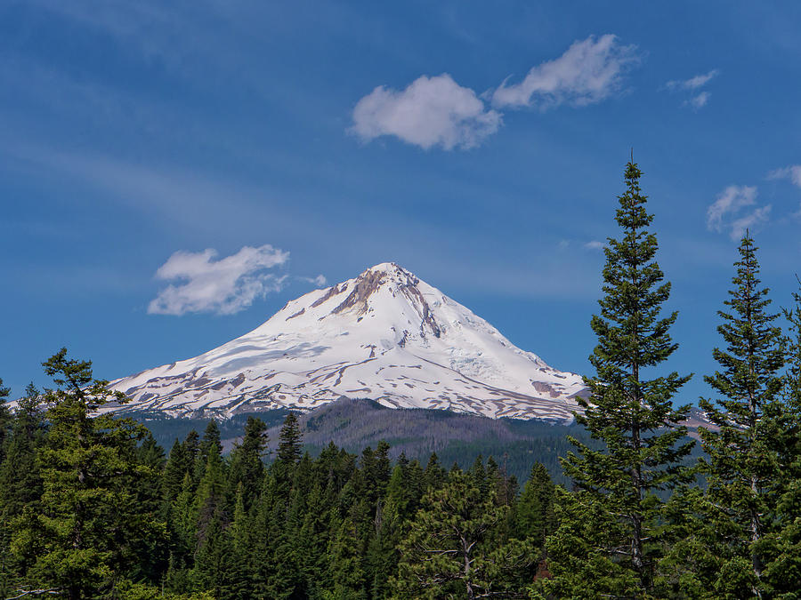 Mt Hood Shining Bright Photograph by Theresa Peterson - Fine Art America