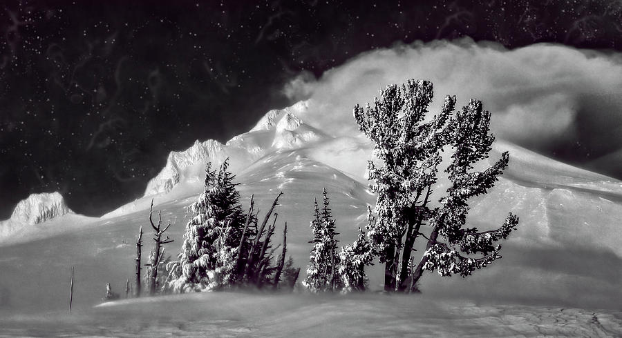 Mt Hood Starry Night Photograph by Wes and Dotty Weber