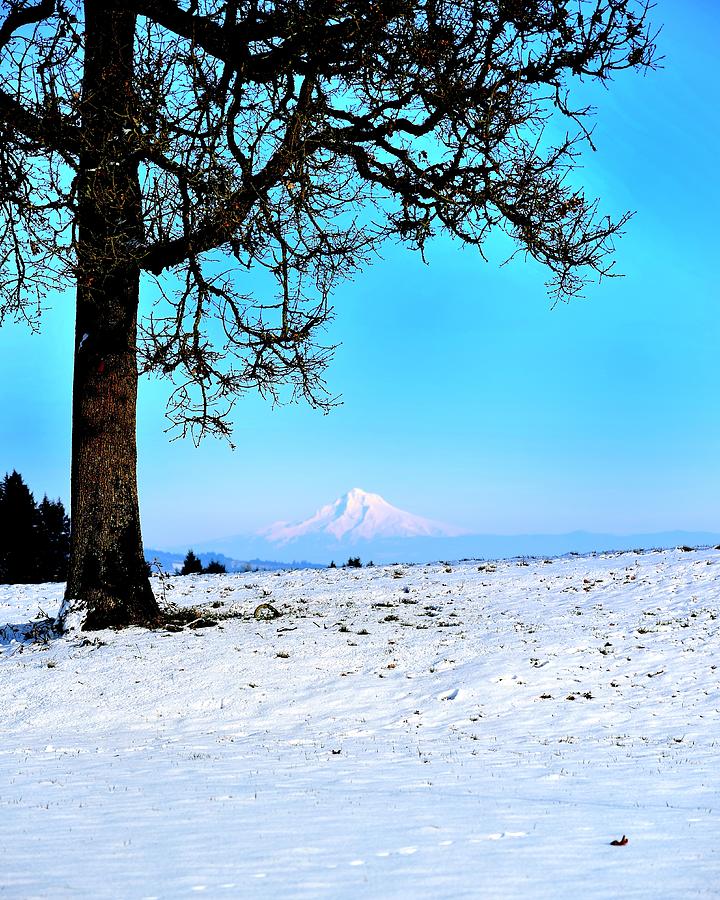 Mt. Hood Stoller Photograph by Jerry Sodorff