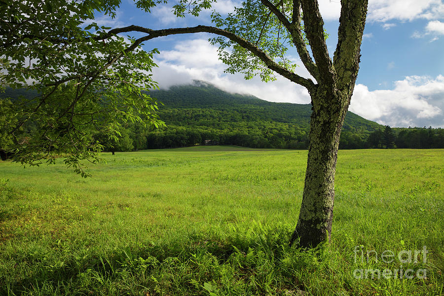 Nature Photograph - Mt Israel - Sandwich, New Hampshire by Erin Paul Donovan