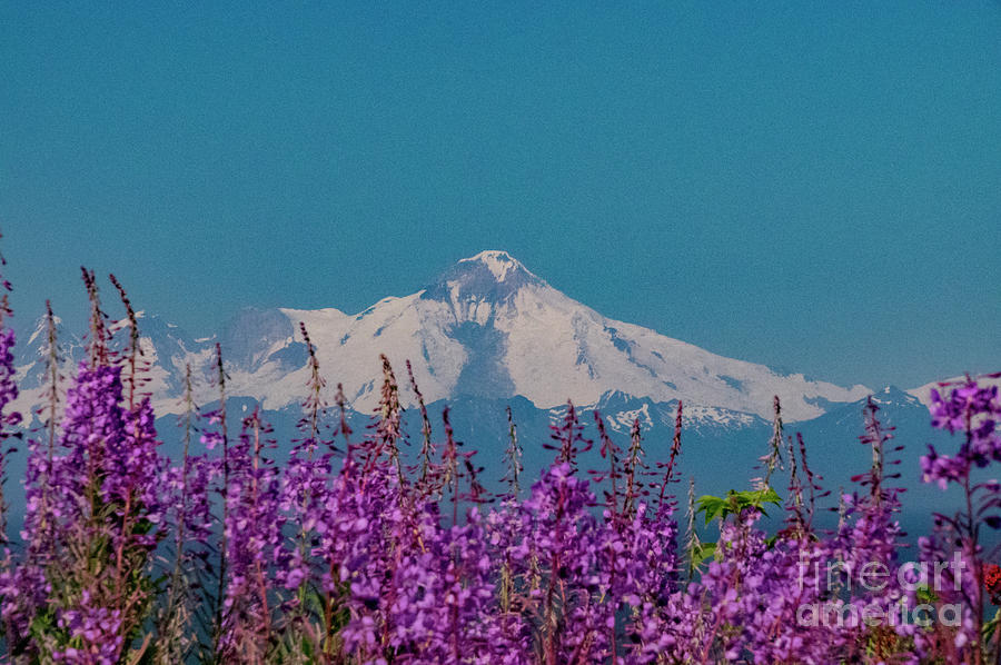 Mt Lliama Volcano Photograph by Louise Magno