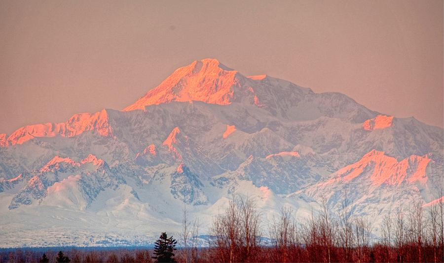Mt McKinley Sunset Photograph by Sam Amato