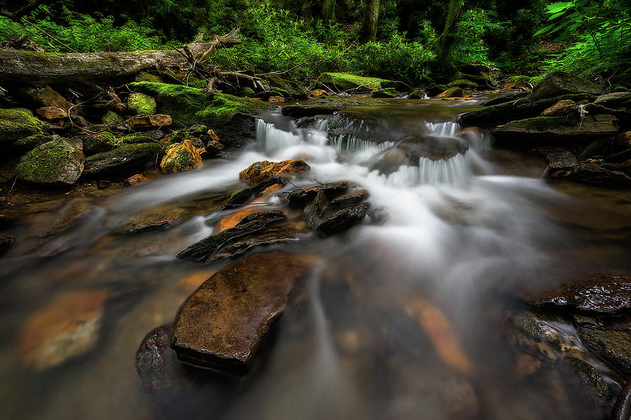 Mt. Mitchell State Park - Cascade Photograph by Jason Penland - Fine ...