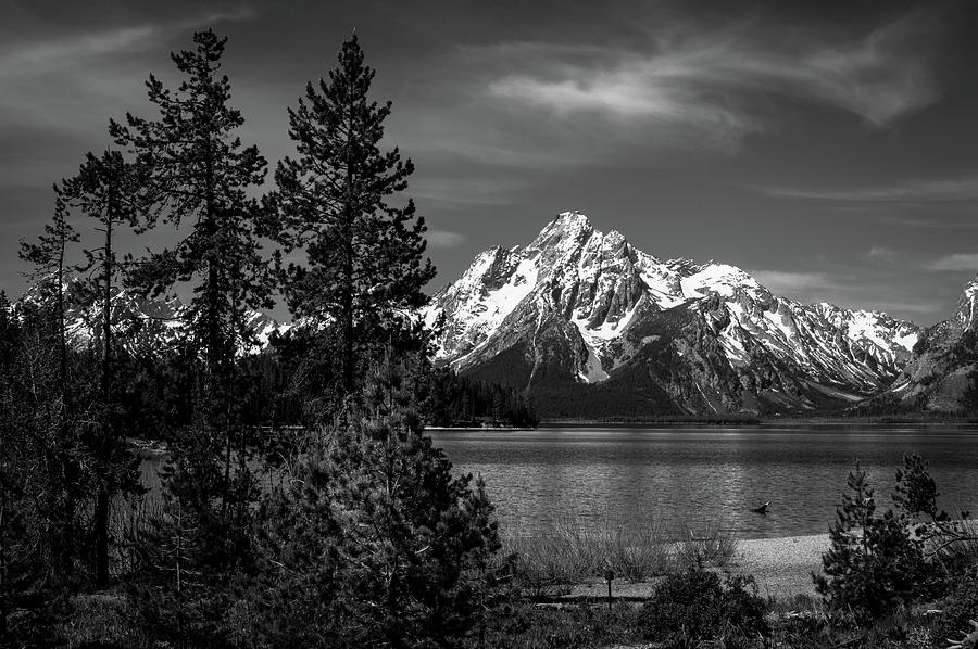 Mt. Moran and trees Photograph by Stephen Holst