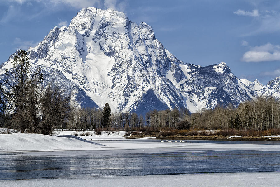 Mt Moran from Oxbow Bend Photograph by Belinda Greb