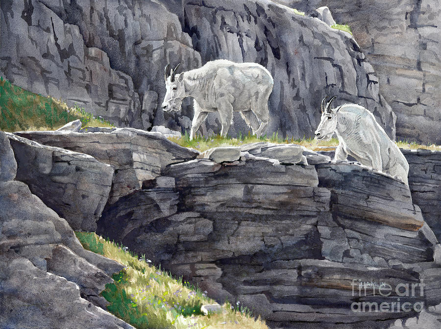 Mt Oberlin Mountain Goats Painting by Steve Hamlin