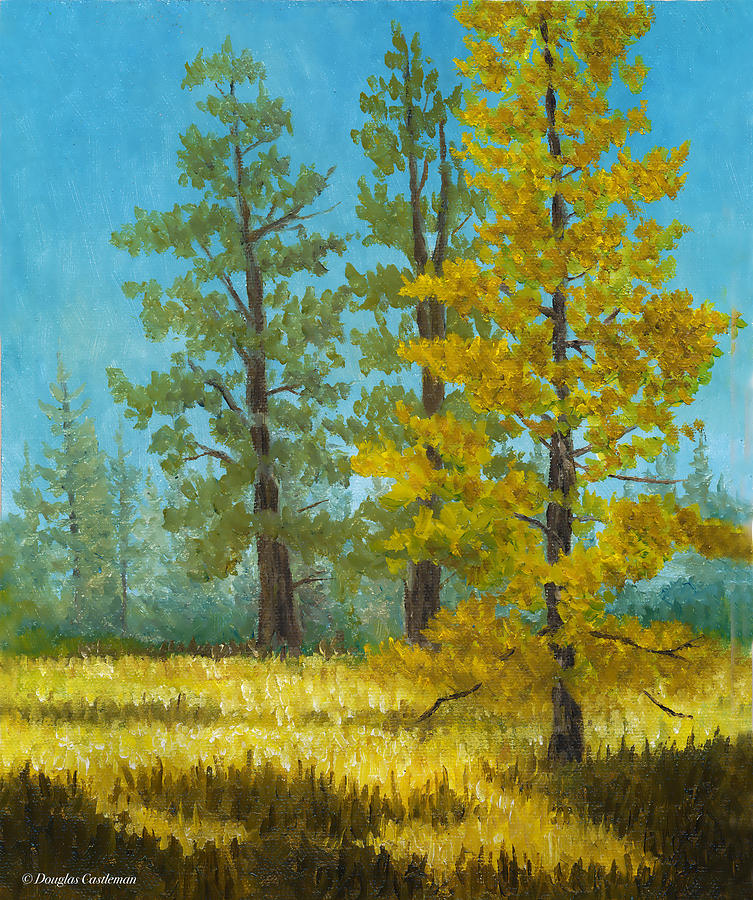 Mt. Pinos Trees Painting by Douglas Castleman