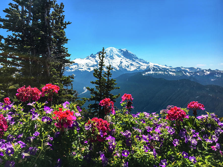 Mount Rainier Photograph - Mt Rainier by Art Spectrum Mount Rainier Photograph - Mt Rainier by Art Spectrum