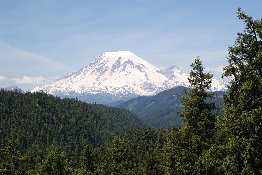 Mt. Rainier Photograph by Audrey Barhite - Fine Art America