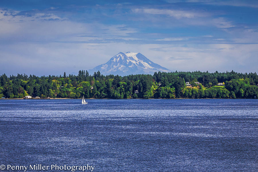 Mt Rainier Blues Photograph by Penny Miller - Fine Art America