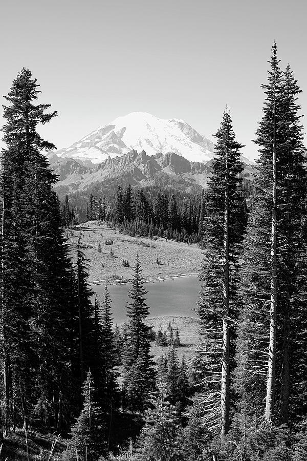 Mt Rainier from Chinook Pass Photograph by David Patterson