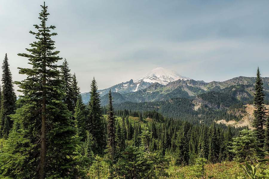 Mt Rainier from Naches Peak Loop Photograph by Belinda Greb