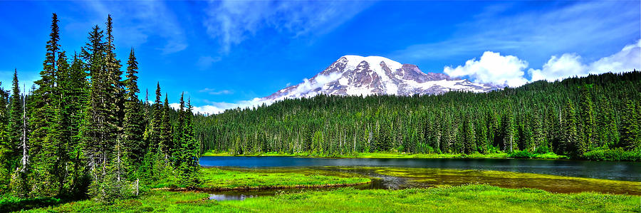 Mt. Rainier from Reflection Lakes Photograph by Don Mercer