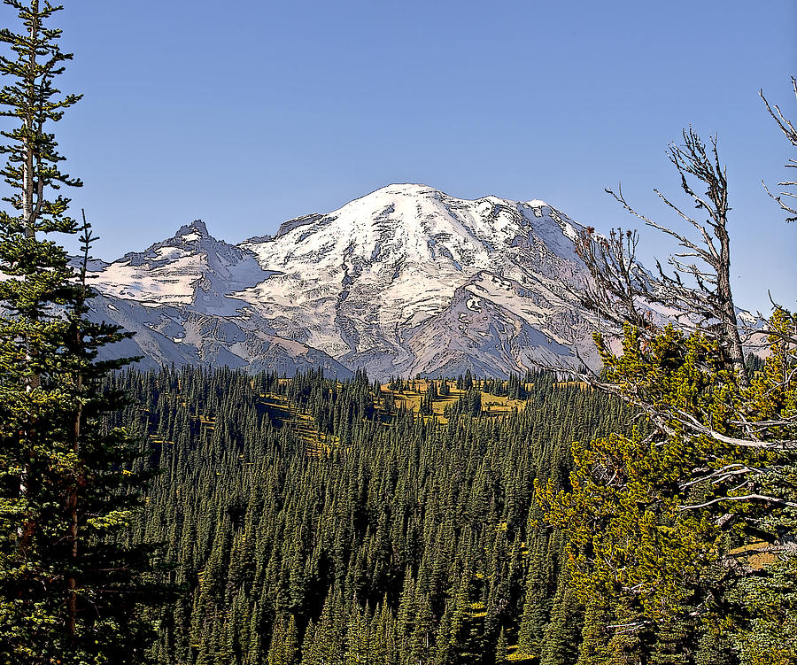 Mt Rainier from Sunrise Photograph by Larry Darnell