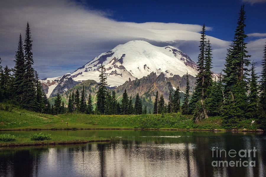 Tree Photograph - Mt Rainier in Washington by Joan McCool