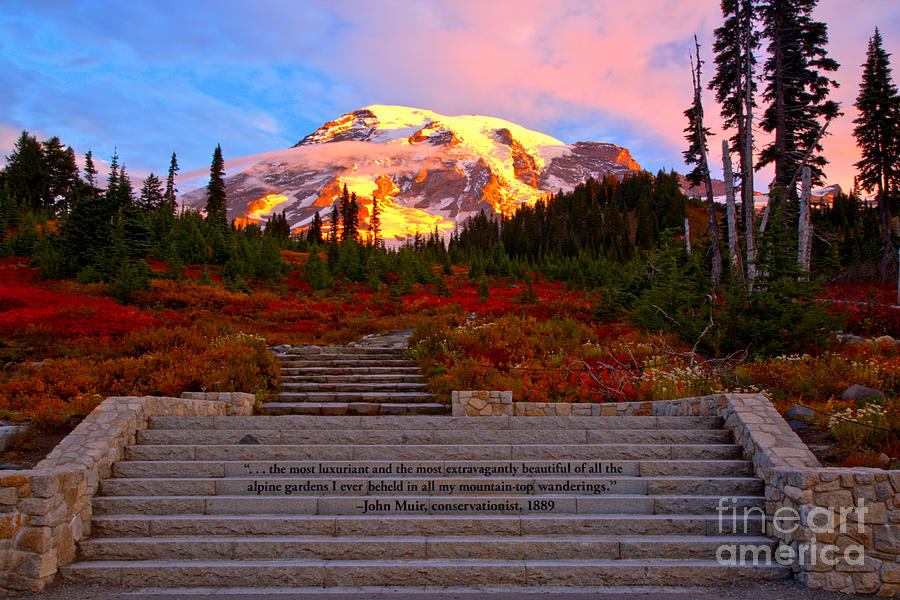 Mt Rainier Morning Glow Photograph by Adam Jewell
