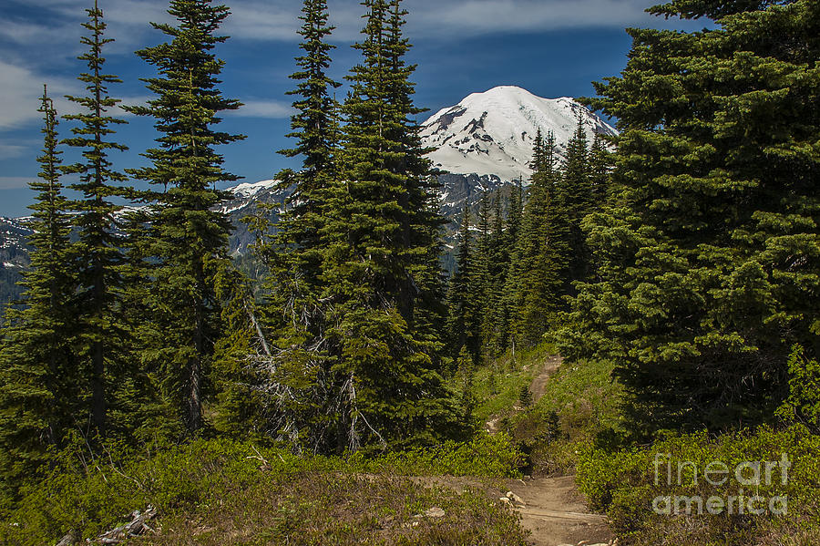 Mt. Rainier Naches Trail landscape Photograph by Chuck Flewelling