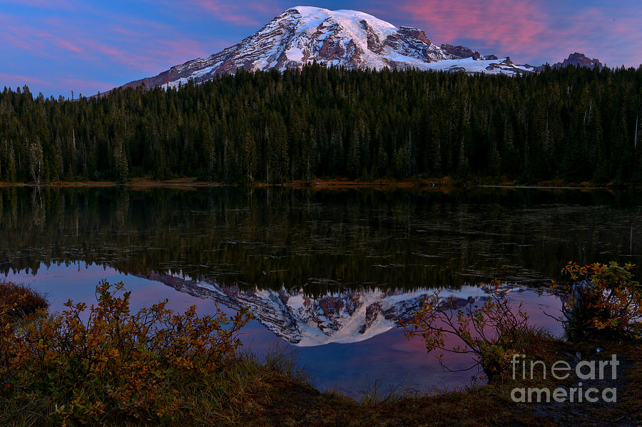 Mt. Rainier Purple Sunrise Reflections Photograph by Adam Jewell - Fine ...