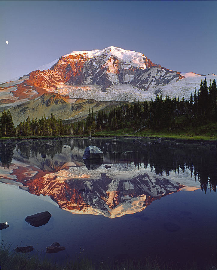 2M4858-V-Mt Rainier Reflect  Photograph by Ed  Cooper Photography