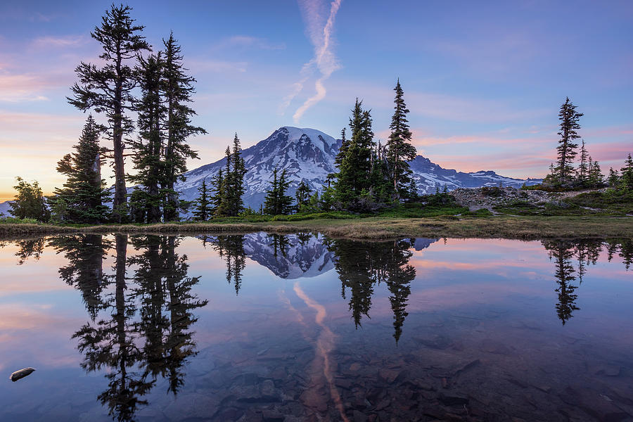 Mt Rainier reflection at tarn Photograph by Philip Cho