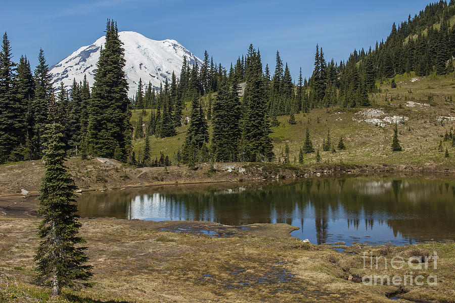 Mt Rainier Reflection landscape Photograph by Chuck Flewelling