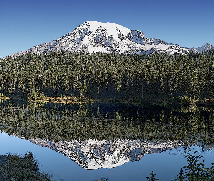 Mt Rainier Reflection Digital Art by Larry Darnell