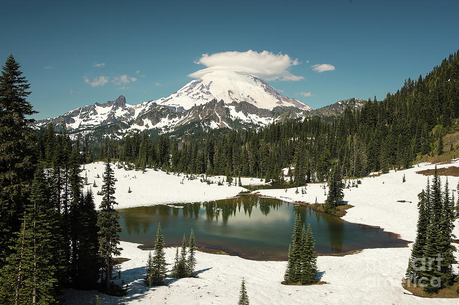 Mt. Rainier Reflections in Spring Photograph by Jackie Follett