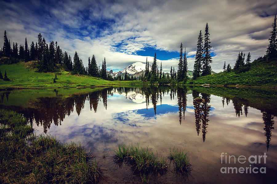 Landscape Photograph - Mt Rainier Reflections by Joan McCool