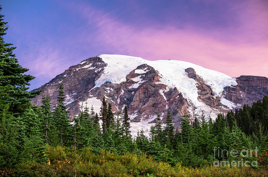 Mt Rainier Sunrise 2 Photograph by Steven Natanson