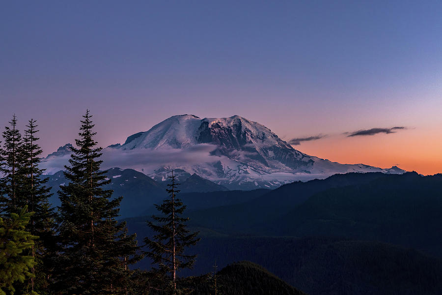 Mt Rainier Sunset Photograph by Mike Centioli