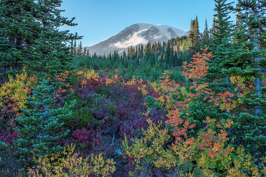 Mt Rainier with Autumn colors Photograph by Harold Coleman