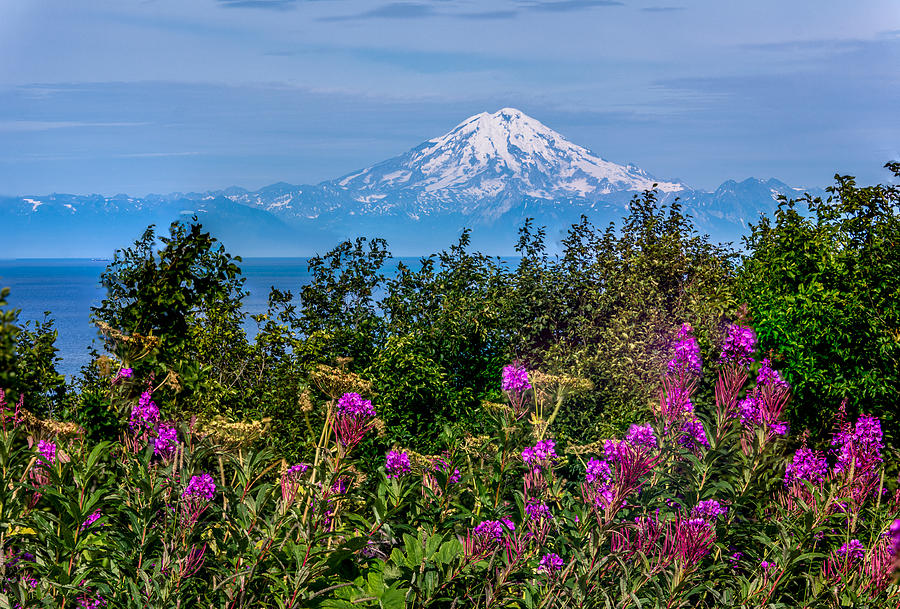 Mt. Redoubt Photograph by Claudia Abbott