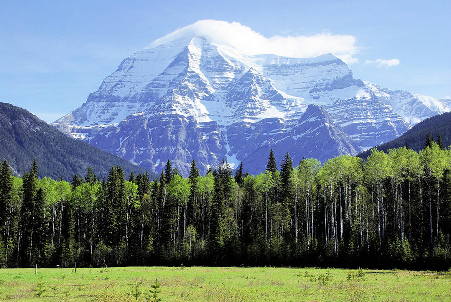 Mt Robson BC Canada Photograph by Don Siebel