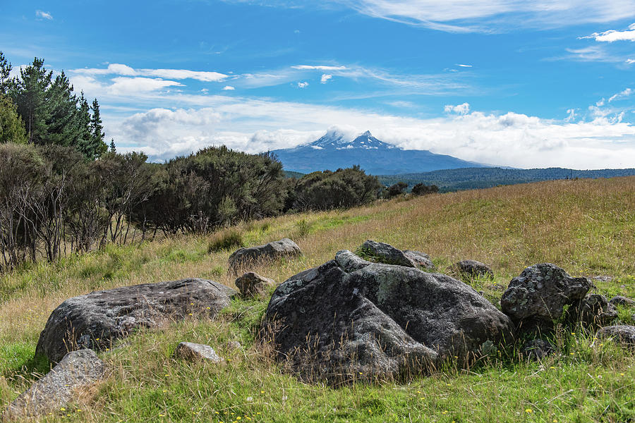 Mt Ruapehu view Photograph by Gary Eason