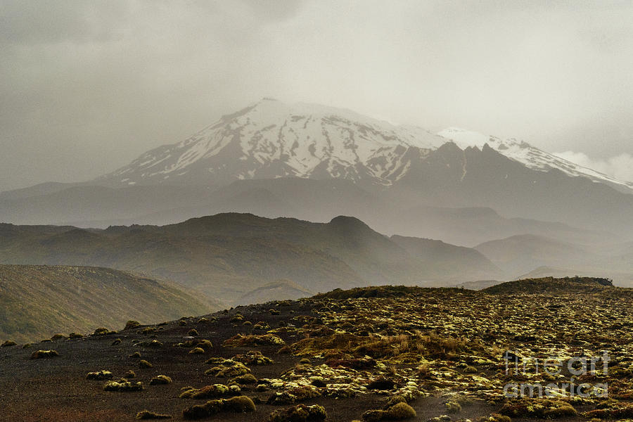 Mt Ruapehu Photograph by Werner Padarin