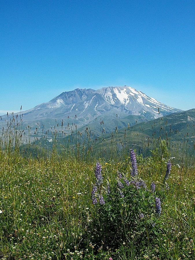 Spring Photograph - Mt. Saint Helens in Spring by Lori Seaman