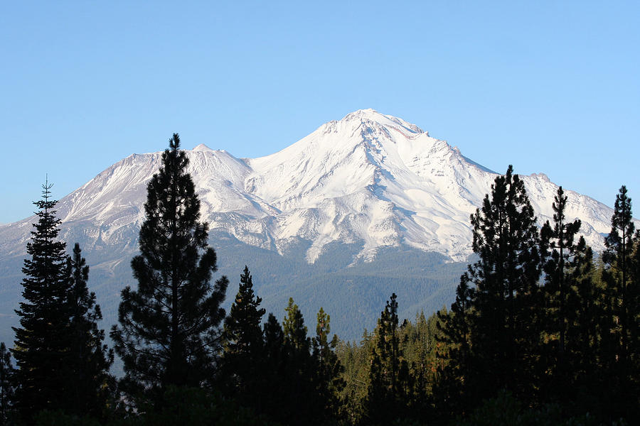 Mt. Shasta - Her Majesty Photograph by Holly Ethan