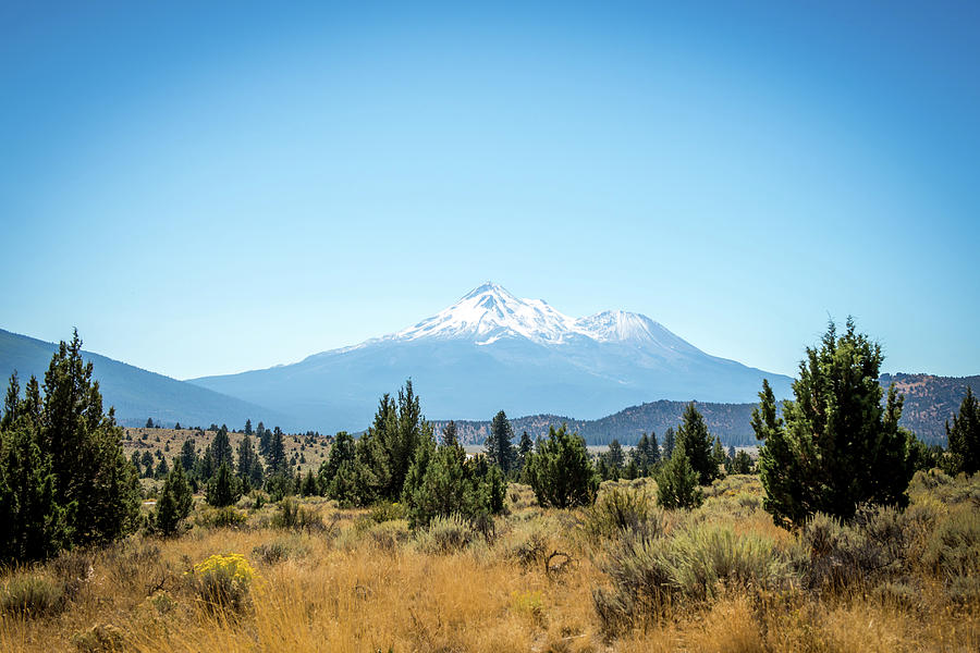 Mt. Shasta Photograph by Aileen Savage