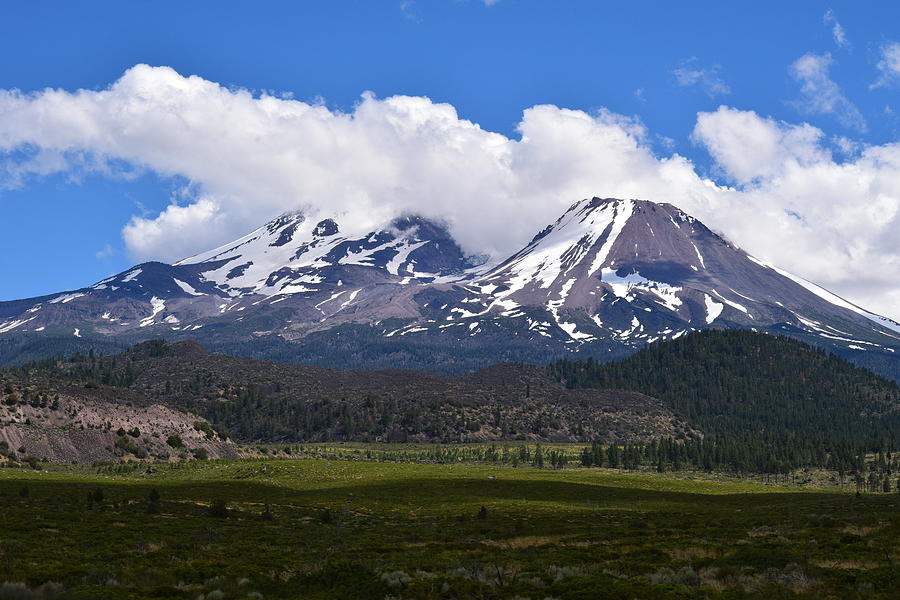 download shasta mountain for free