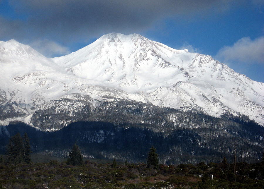 Mt. Shasta Photograph Photograph by Kimberly Walker