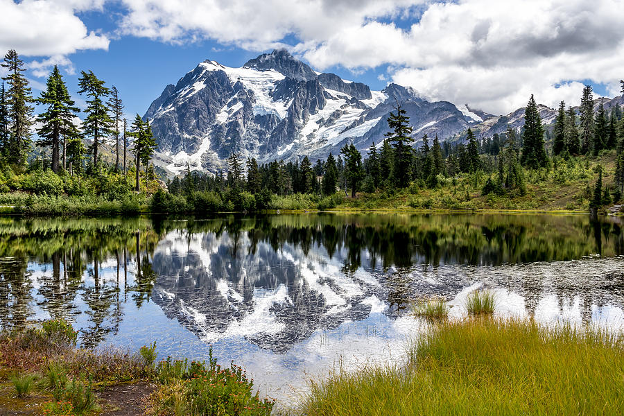 Tree Photograph - MT Shuksan on Picture Lake 1 by Rob Green