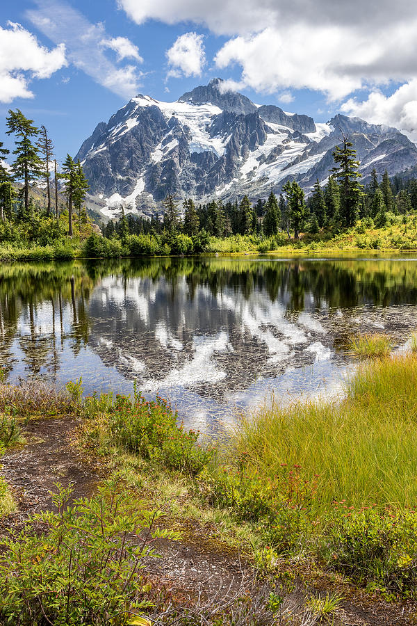 Tree Photograph - MT Shuksan on Picture Lake 2 by Rob Green