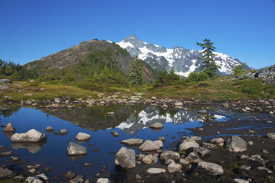 Mountain Photograph - Mt. Shuksan Puddle Reflection by Scott Cunningham