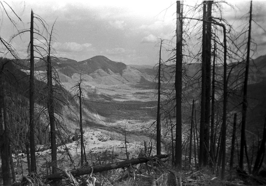 Mt St Helen Aftermath Photograph by William Kimble