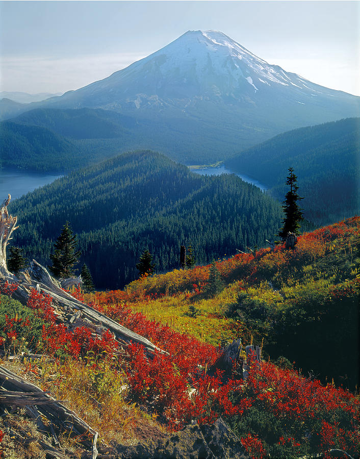 1M4903-Mt. St. Helens 1975  Photograph by Ed  Cooper Photography
