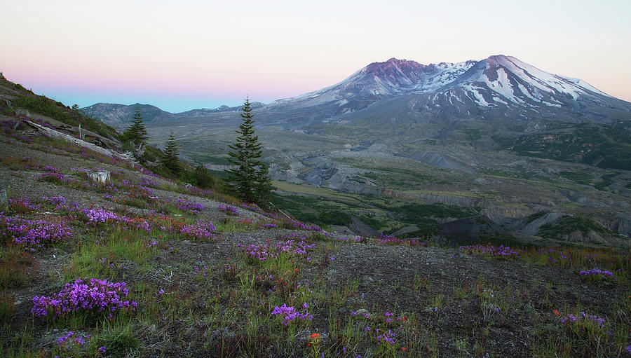 Mt. St. Helens Evening Photograph by Angie Vogel