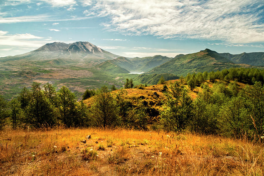 Landscape Photograph - Mt St Helens I by Brian Harig